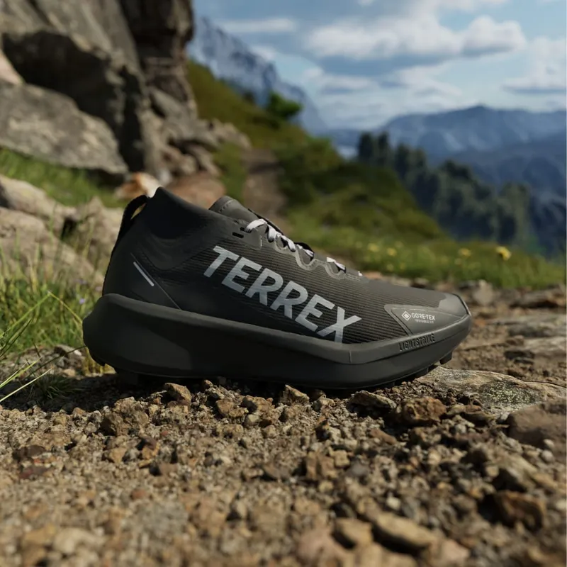 Adidas Terrex Agravic GTX Trail Running Core Black / Silver Dawn / Grey Two (IH5358)