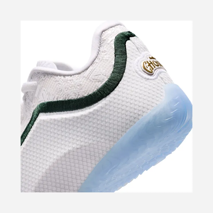 nike-lebron HV3596-100