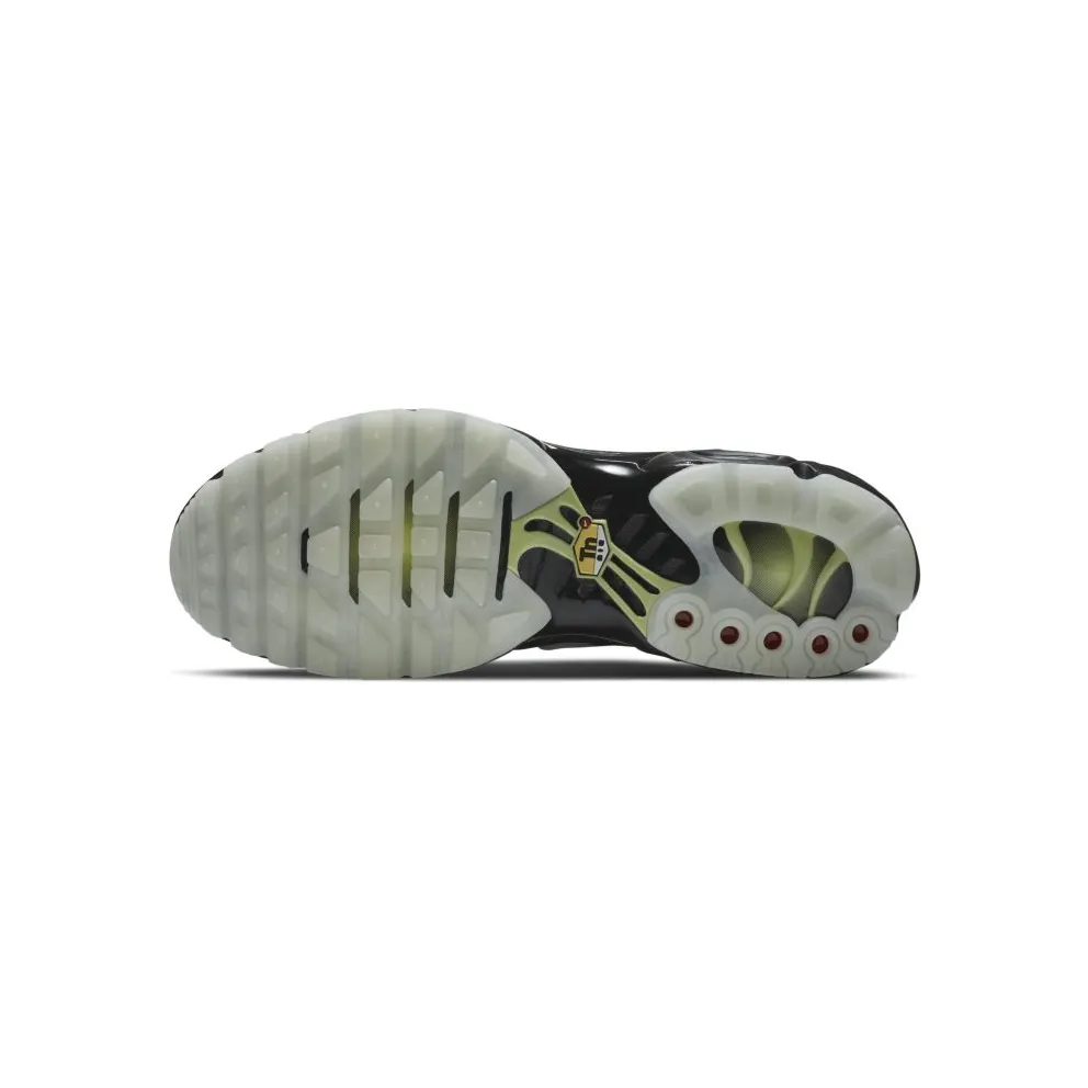 Nike Air Max Plus Black (DD4004-001)