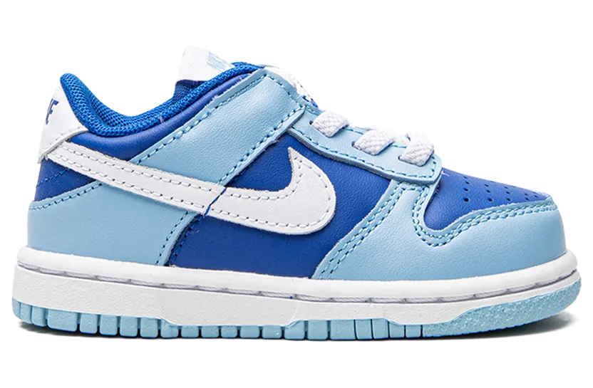 nike-dunk DV2634-400