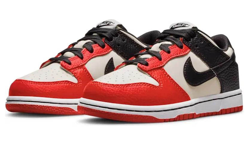 nike-dunk DC9564-100