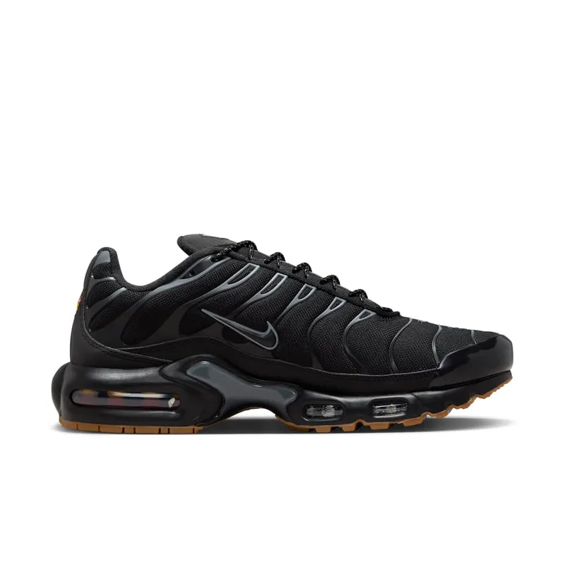 Nike Air Max Plus Black Gum Light Brown (FV0385-001)