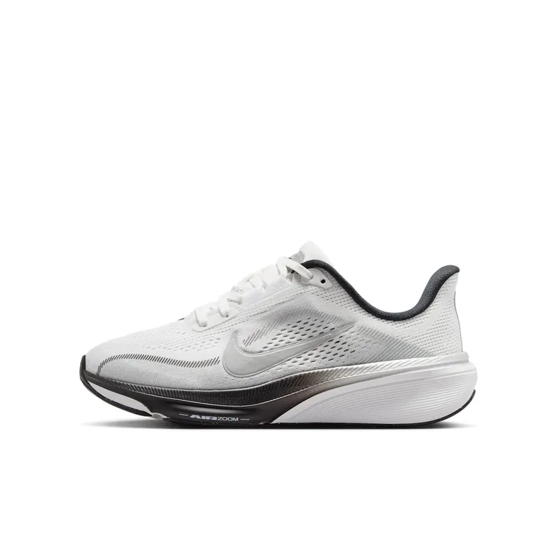 Nike Pegasus Summit White/Metallic Silver/Photon Dust/White (IR4146-100)