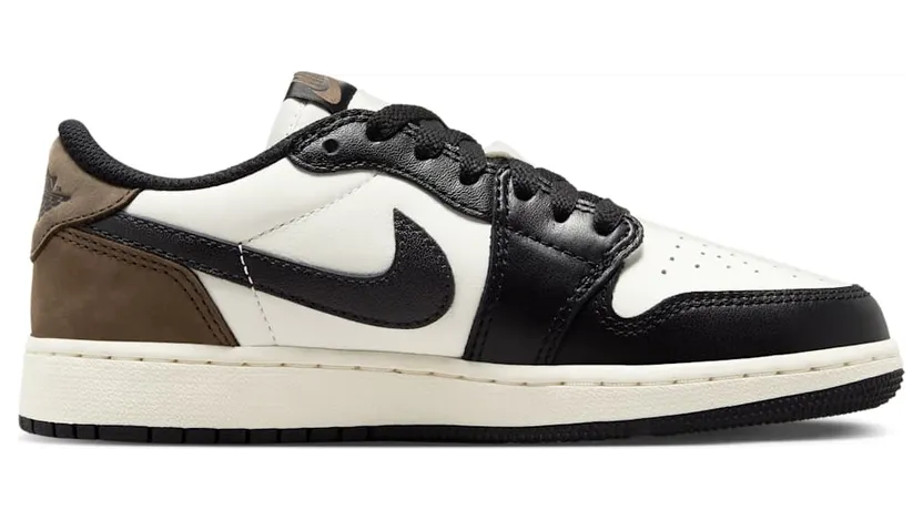 air-jordan-1 CZ0858-102