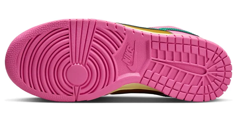 nike-dunk FN2721-600