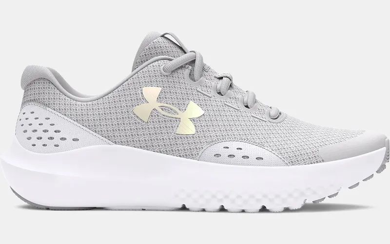 Under Armour Surge 4 Grey (3027108-100)