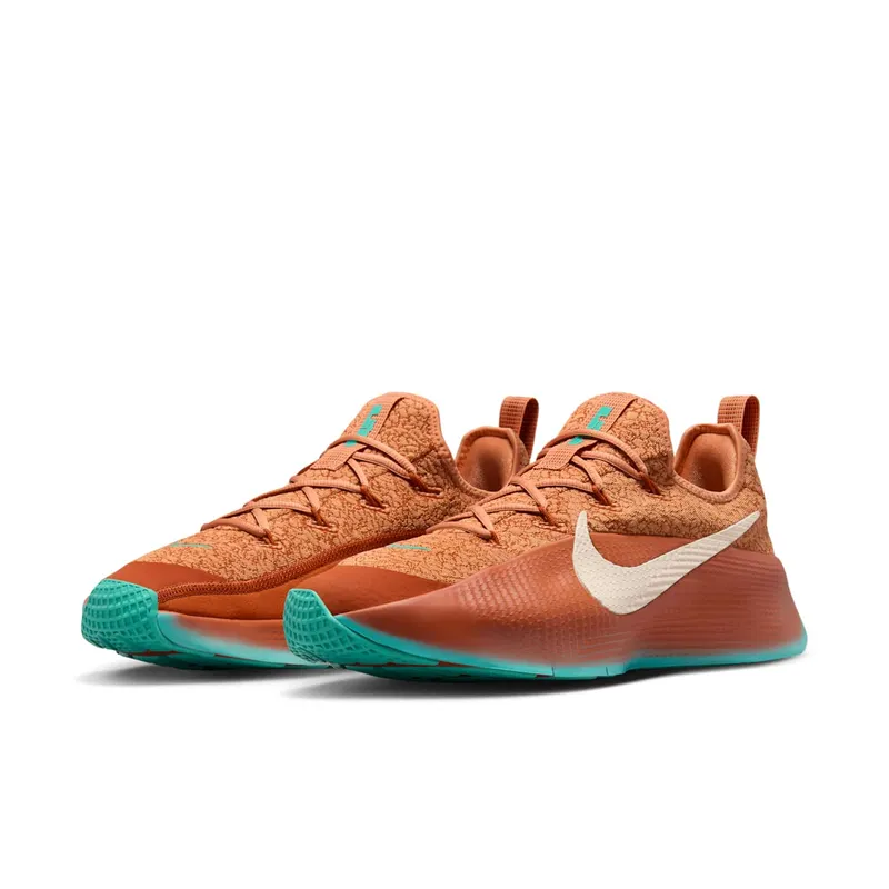 Nike LeBron TR 1 Better With Age (FJ6151-200)