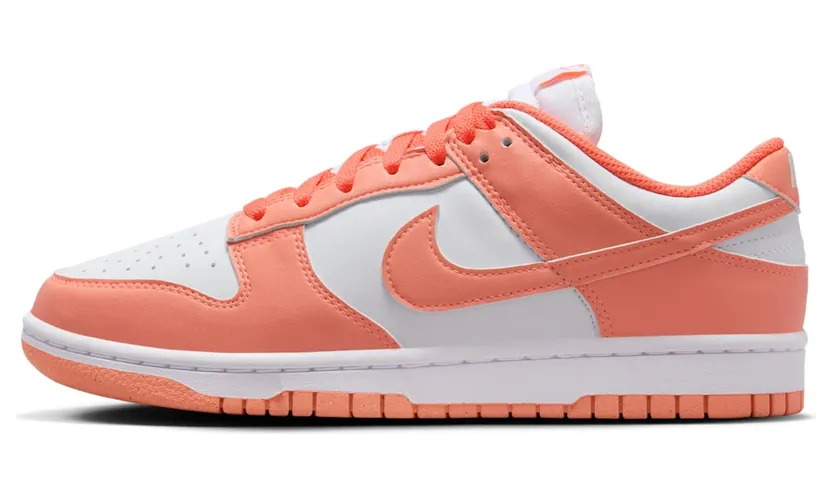 Nike Dunk Low DD1873-109