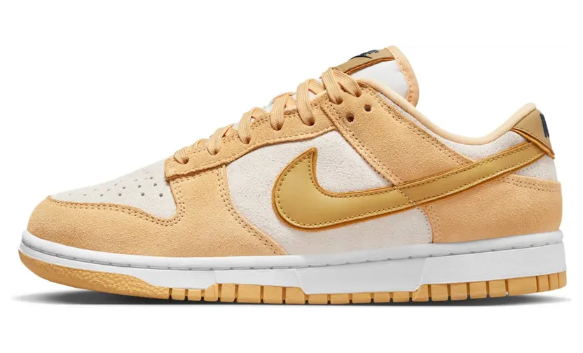 Nike Dunk Low DV7411-200