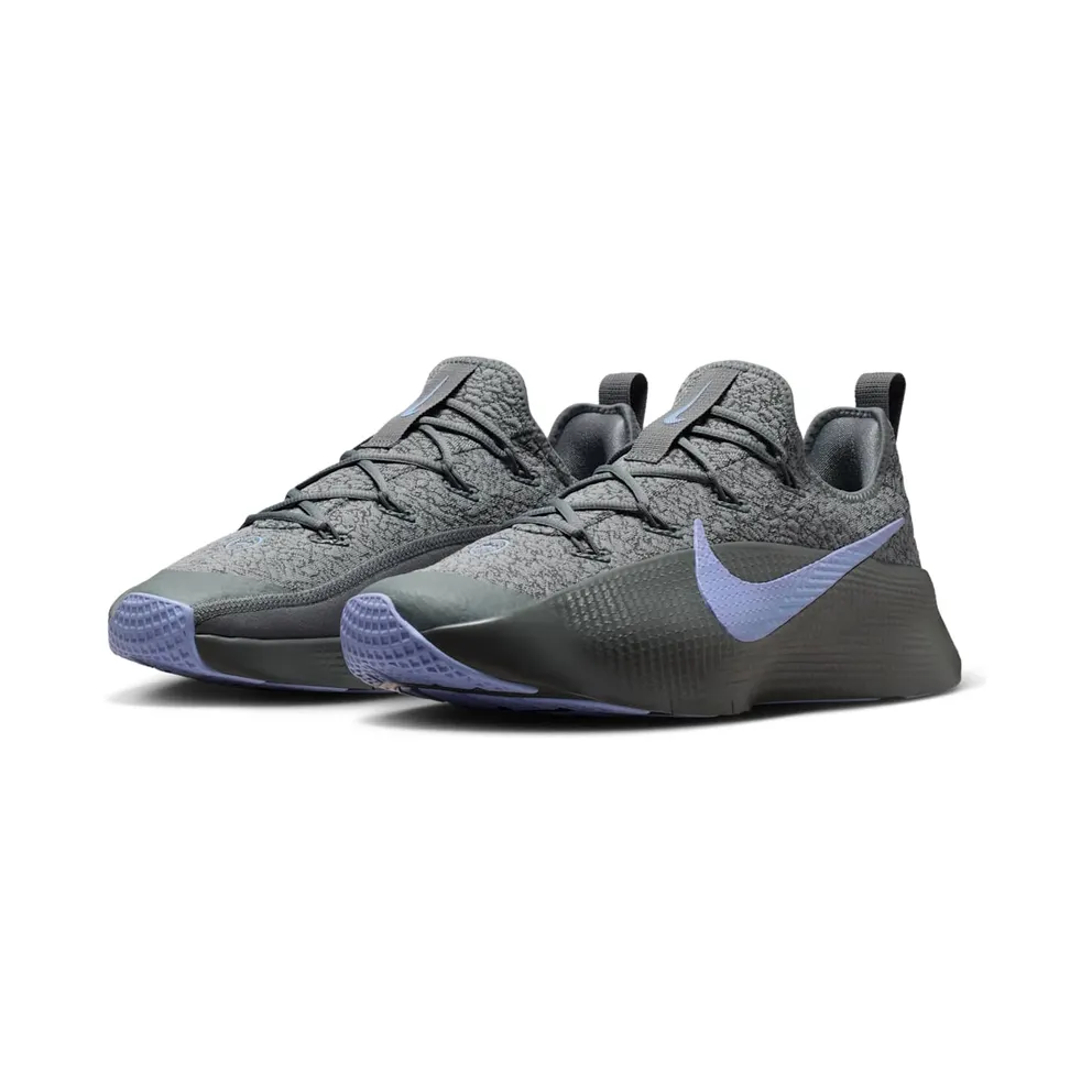 Nike LeBron TR 1 Cool Grey Aluminum (FJ6151-008)