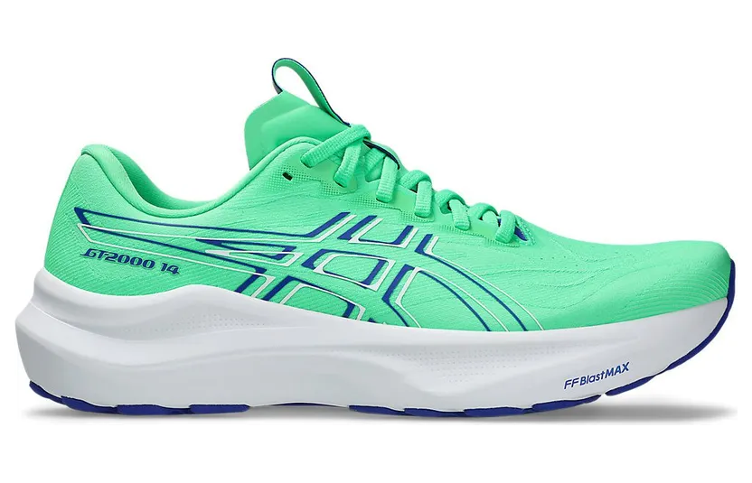 asics-gt-2000-2 1011C056-300
