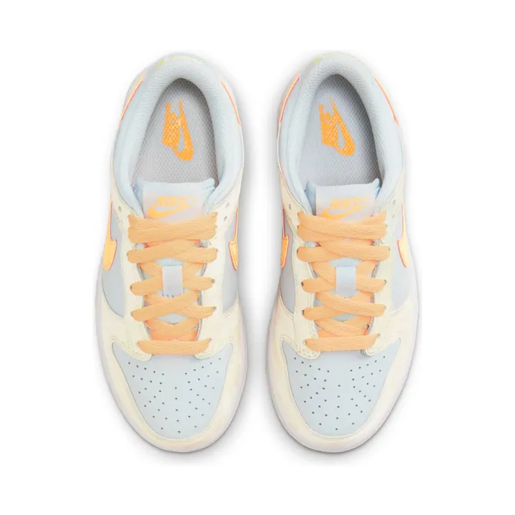 nike-dunk FB9108-100