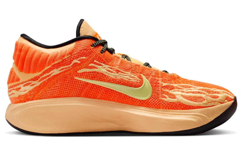 nike-zoom FV5953-801