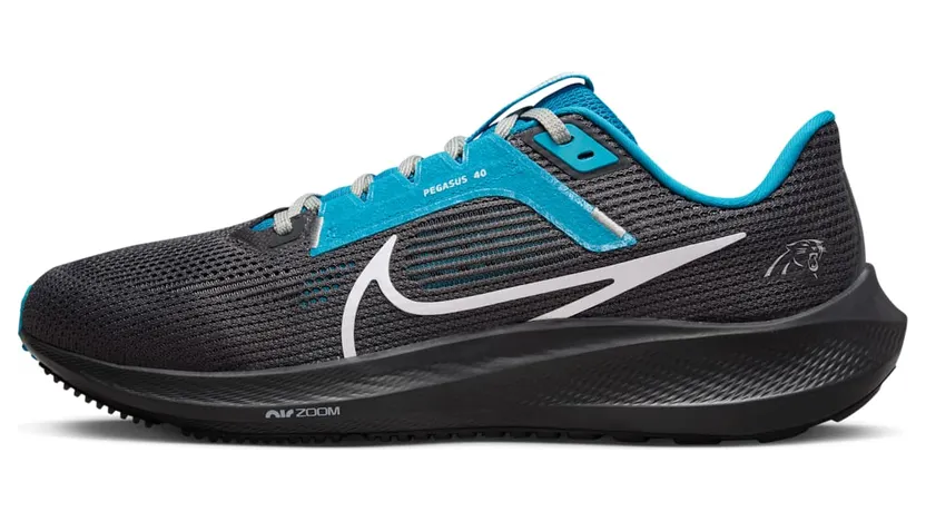 Nike Air Pegasus DZ6010-001