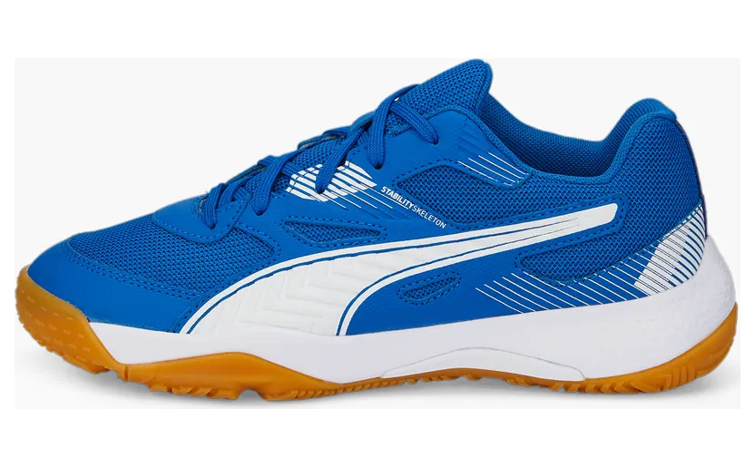 Puma Solarflash II Indoor Sports Shoes Youth Wit/Blauw (106883-03)