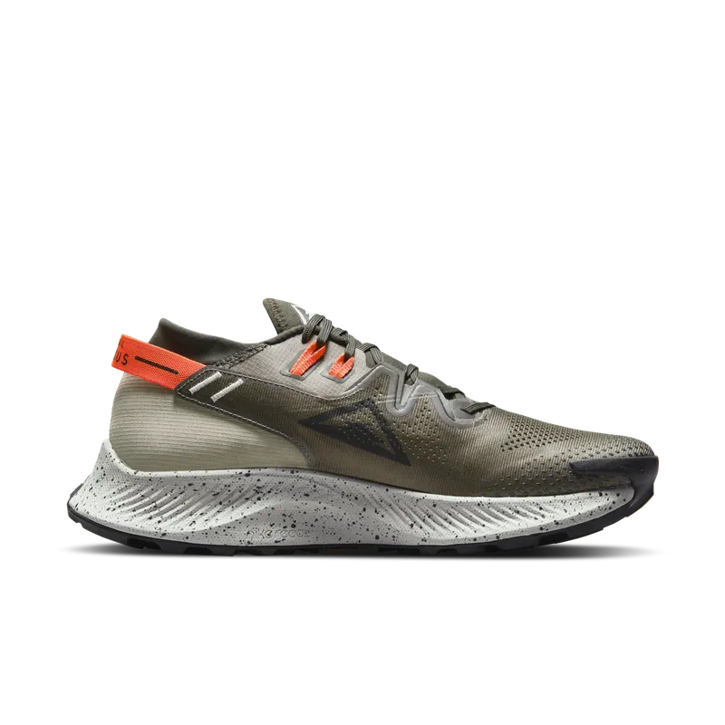 Nike Pegasus Trail 2 Trailrunningschoen for Men Brown (CK4305-301)