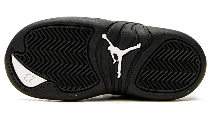 air-jordan-12 850000-170