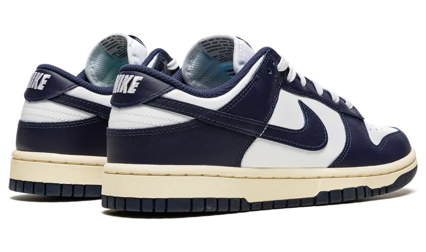 nike-dunk DD1503-115