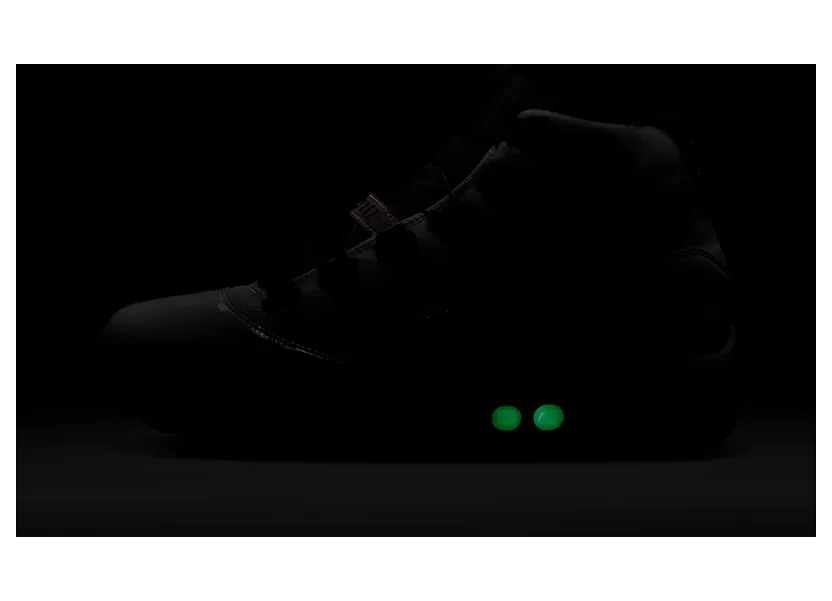 air-jordan-11 DD3523-100