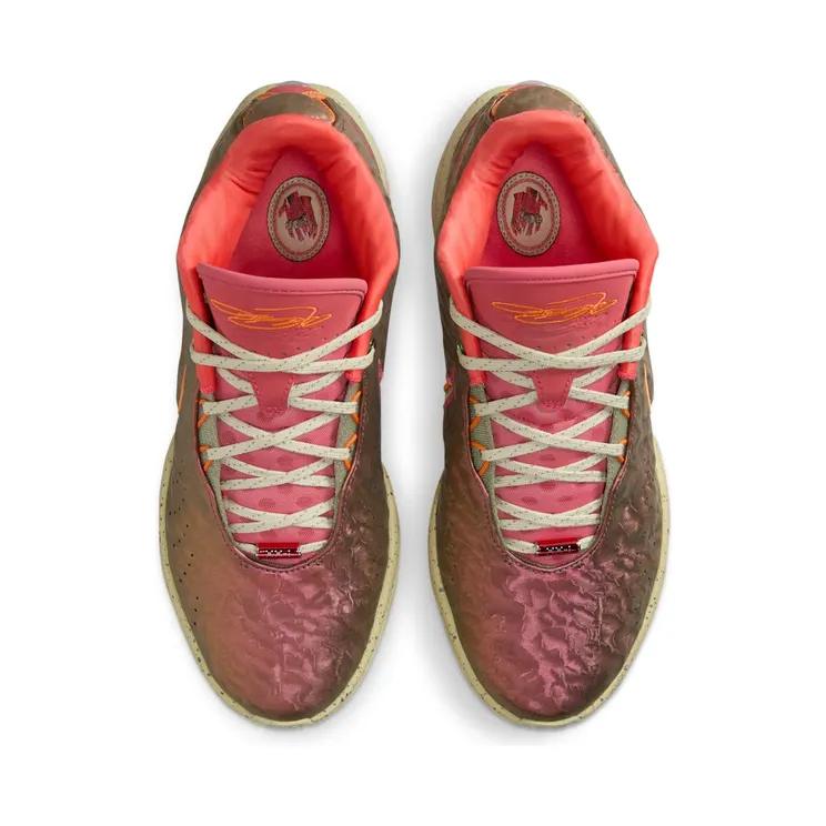 nike-lebron FN0708-800