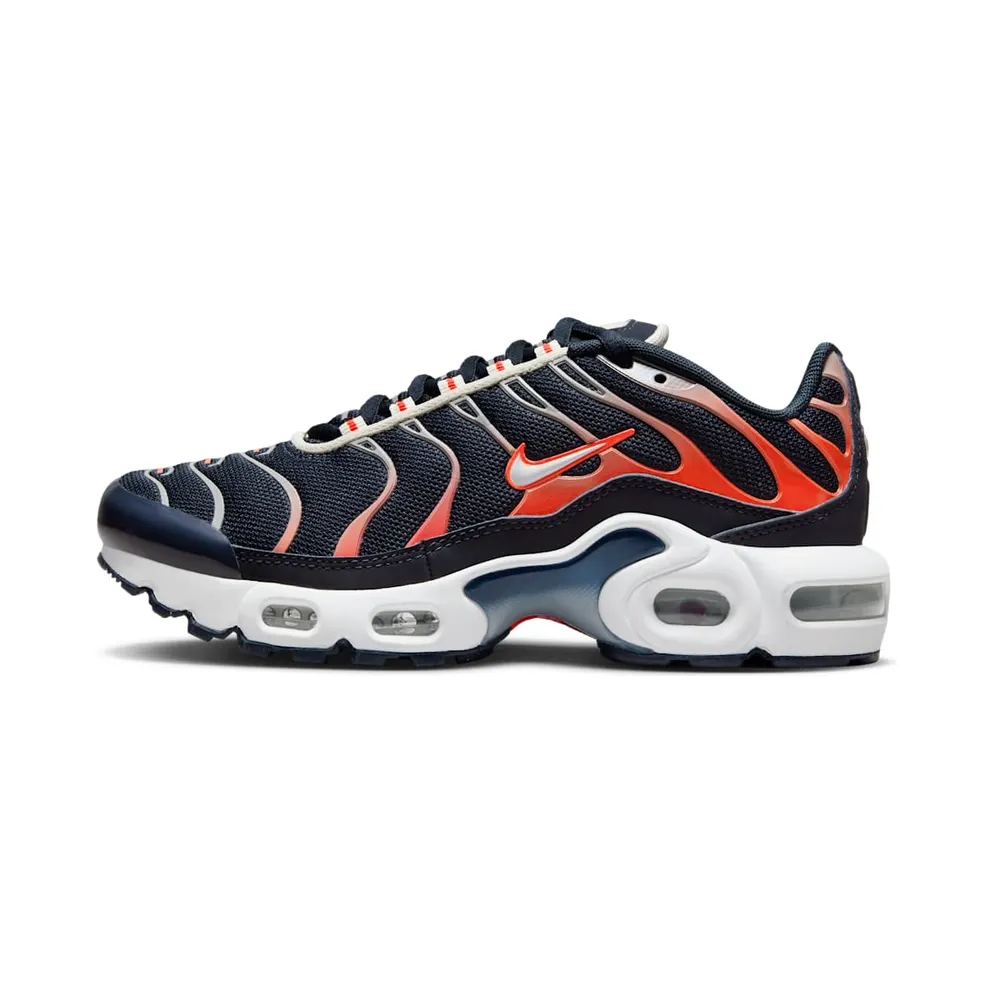 Nike Air Max Plus Dark Obsidian Bright Crimson (CD0609-408)