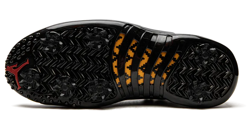 air-jordan-12 DH4120-100