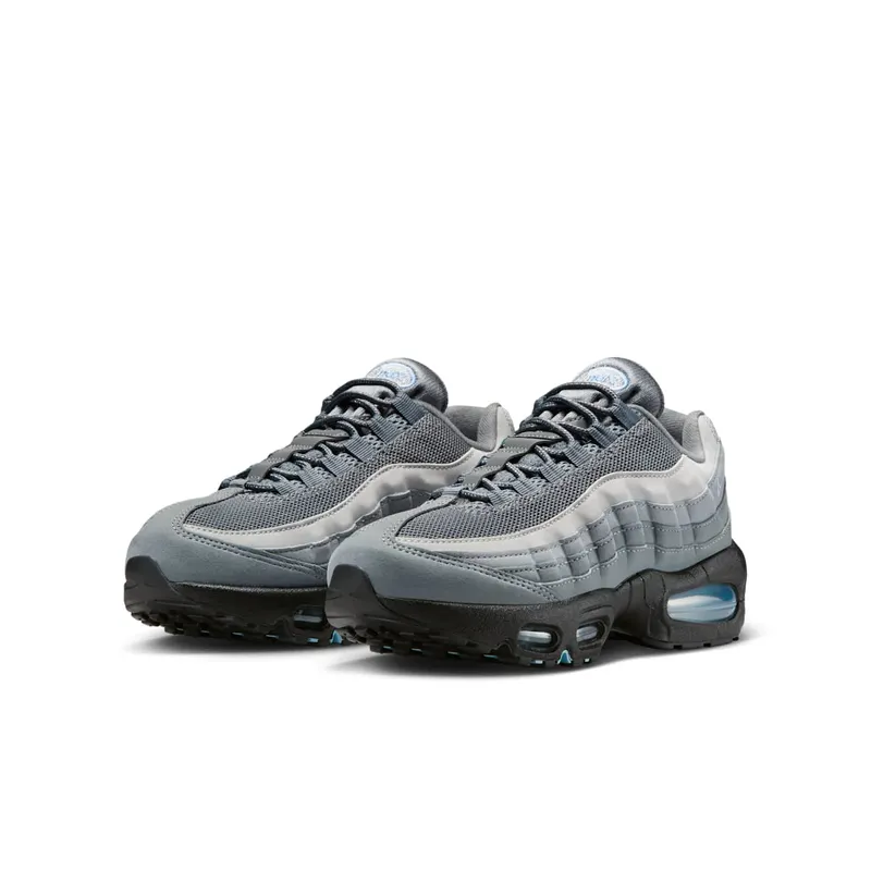 Nike Air Max 95 Cool Grey/Psychic Blue/Wolf Grey/Cool Grey (IH0631-001)
