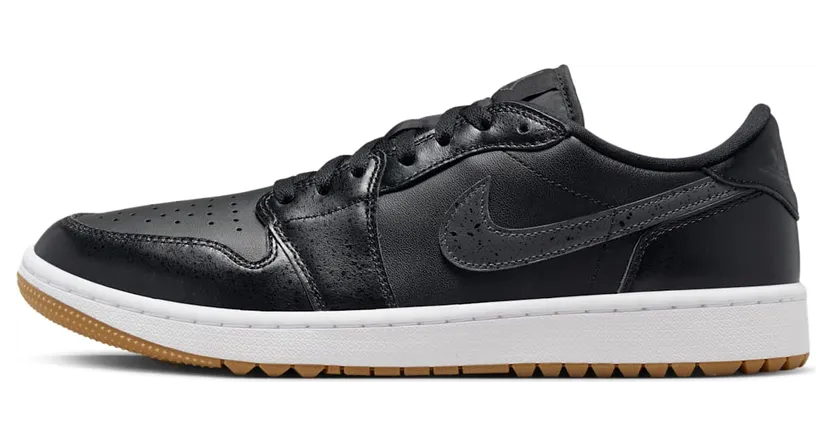 Air Jordan 1 DD9315-005