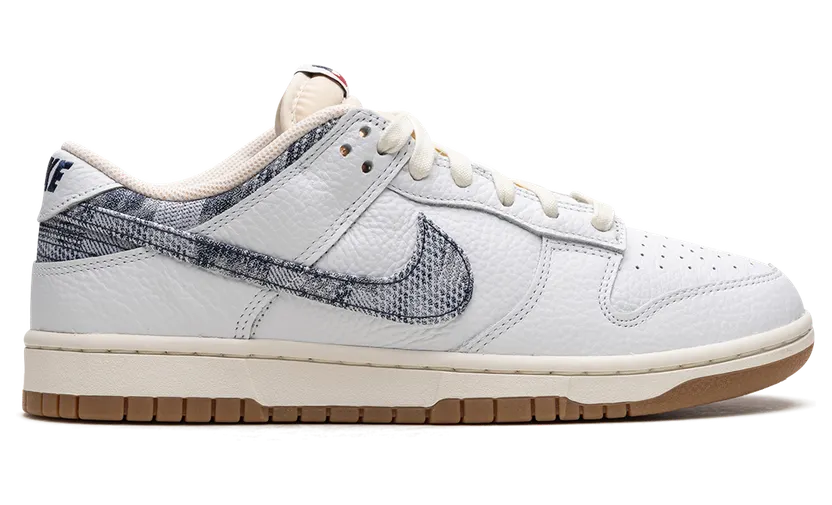 nike-dunk FN6881-100