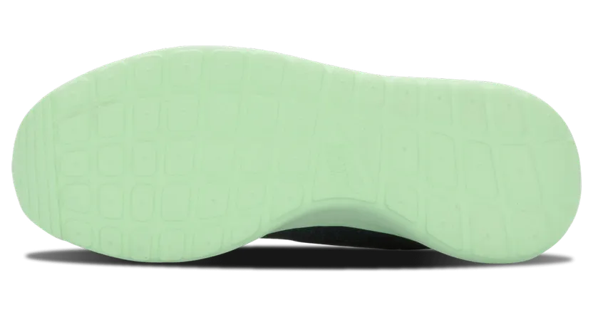 nike-roshe 808708-303