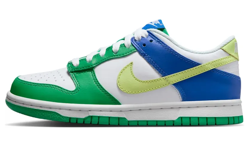 Nike Dunk Low FN6973-100