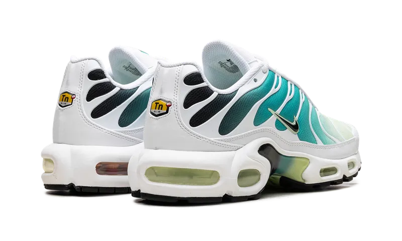 Nike Air Max Plus “Dusty Cactus Barely Volt” (DZ3670-102)