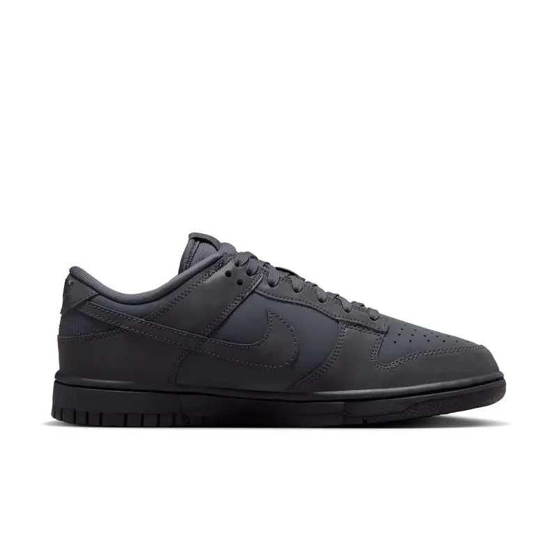 Nike Dunk Low Anthracite/Racer Blue/Black (FZ3781-060)