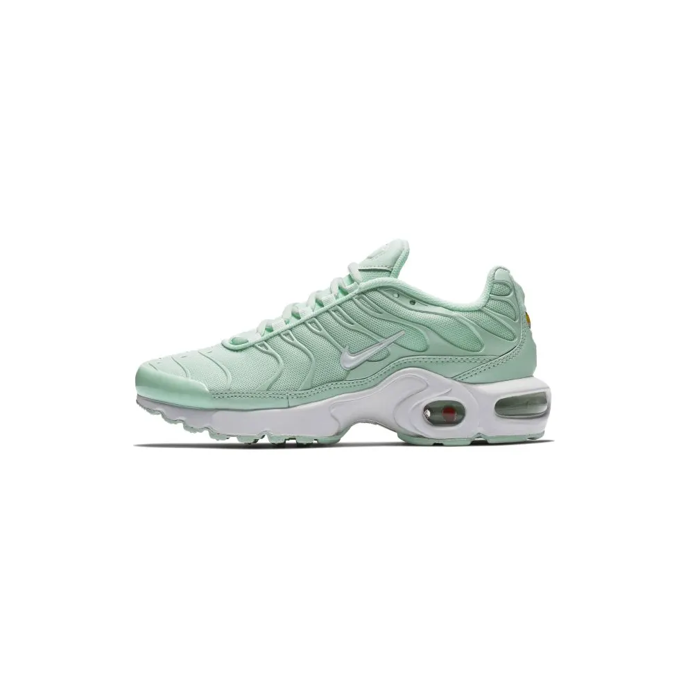 Nike Air Max Plus Igloo (GS) Igloo/White-Igloo (718071-300)