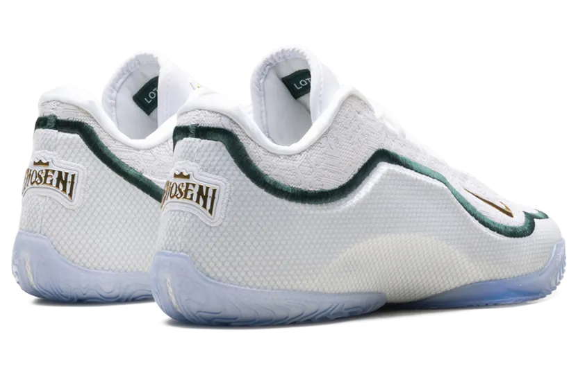 nike-lebron HJ5629-101