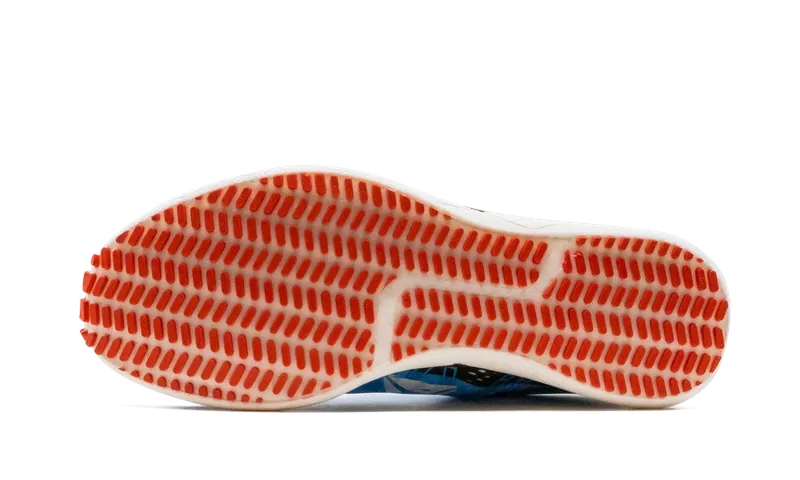 Reebok Floatride Run Fast Pro “Blue Blast” (DV6793)