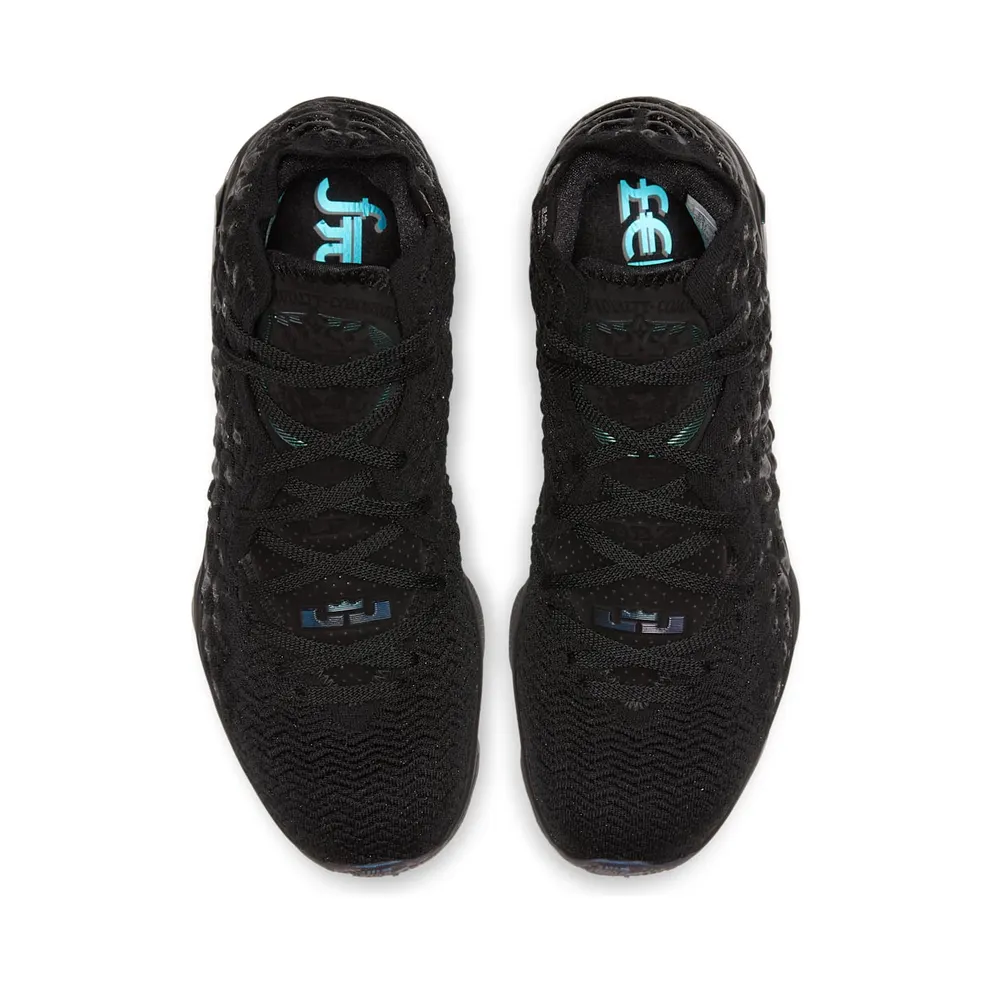 Nike LeBron 17 Currency (2019) (BQ3177-001)