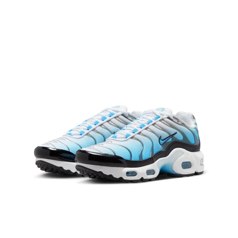 Nike Air Max Plus Ice (FD9767-100)