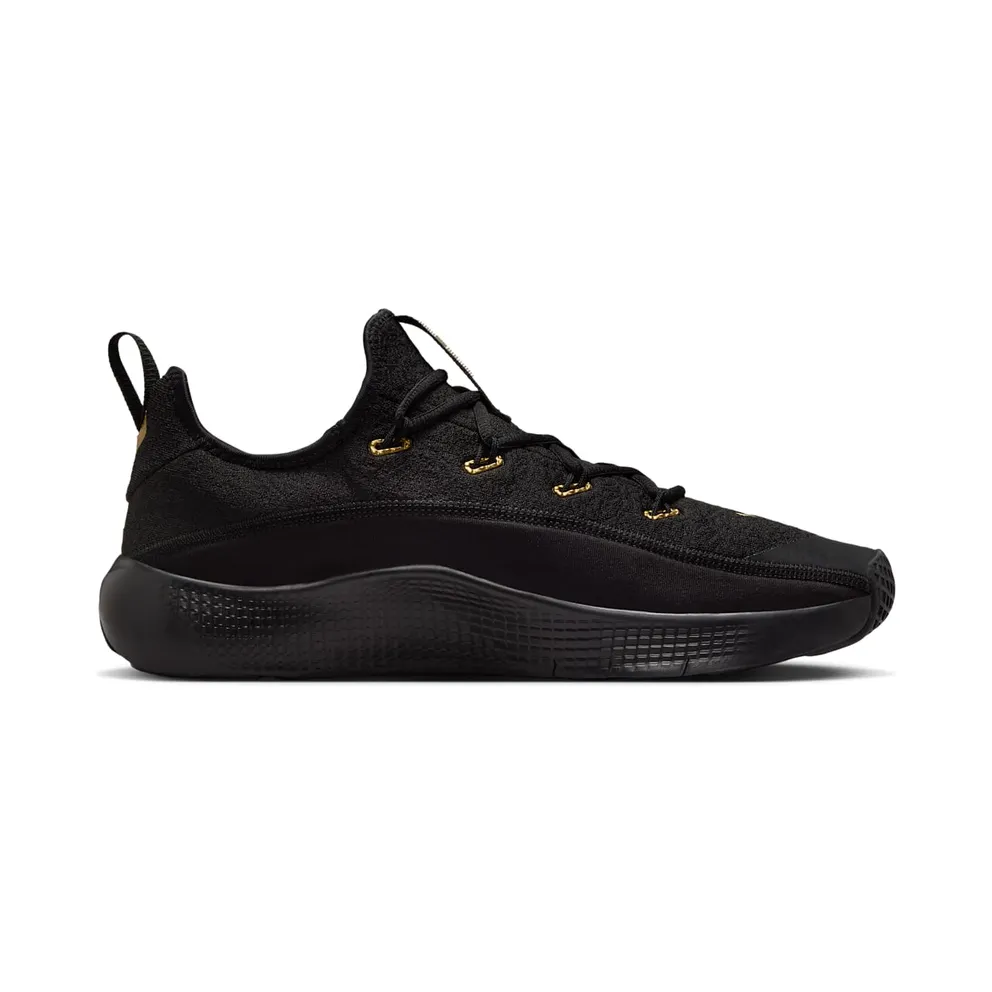 Nike LeBron TR 1 Black Metallic Gold (FJ6151-004)
