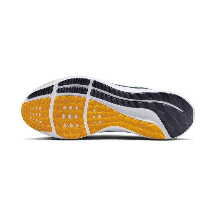 nike-air-pegasus DZ6005-100
