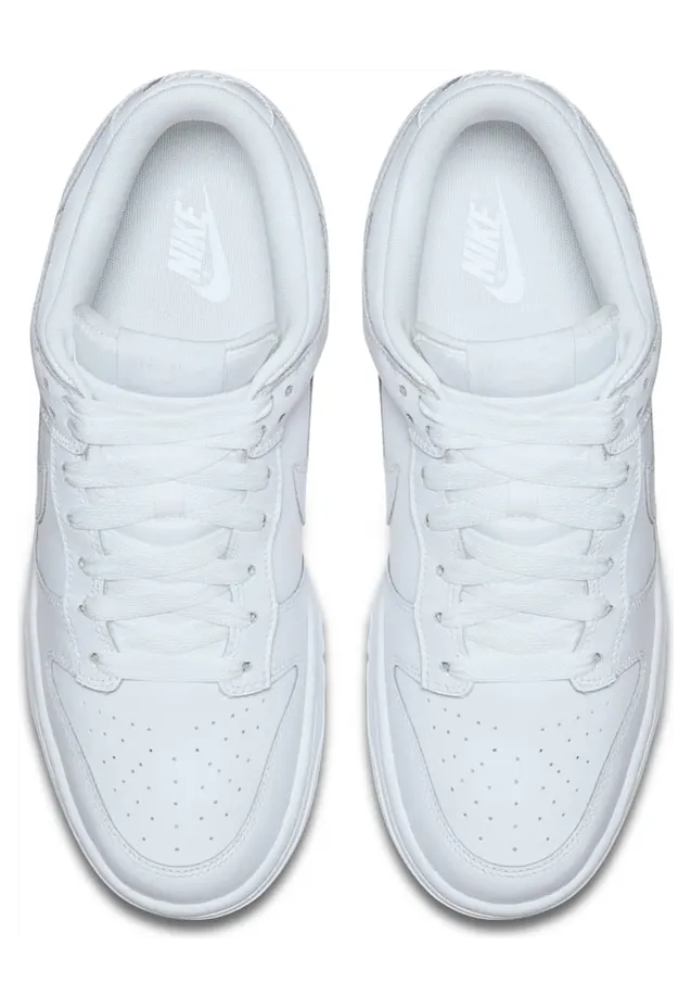 nike-dunk 904234-100