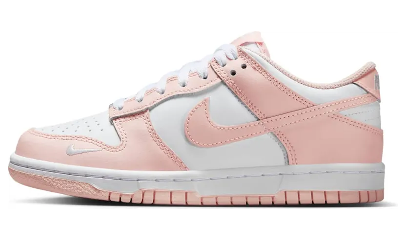 Nike Dunk Low IF6172-100