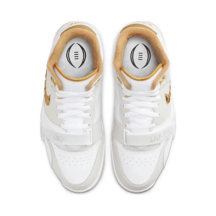 air-jordan-trainer-1 FJ6196-100
