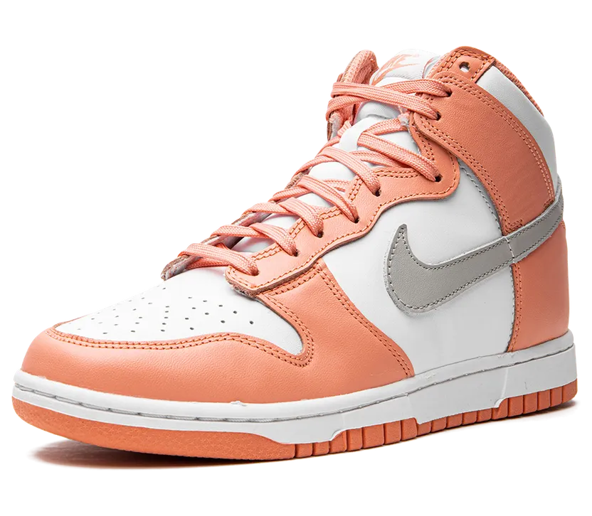 nike-dunk DD1869-600