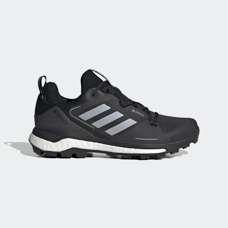 adidas Terrex Skychaser GORE-TEX Hiking 2.0 Core Black / Halo Silver / Dgh Solid Grey (HR1284)