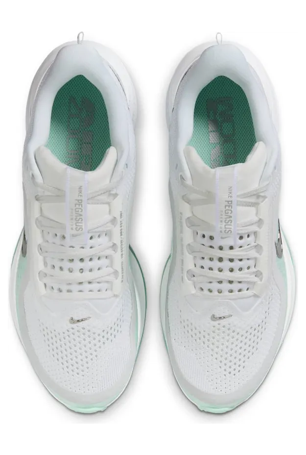 nike-air-pegasus HQ2593-103