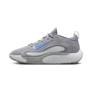 Nike IsoFly Cement Grey Light Smoke Grey Pure Platinum Royal Pulse (FN4384-002)