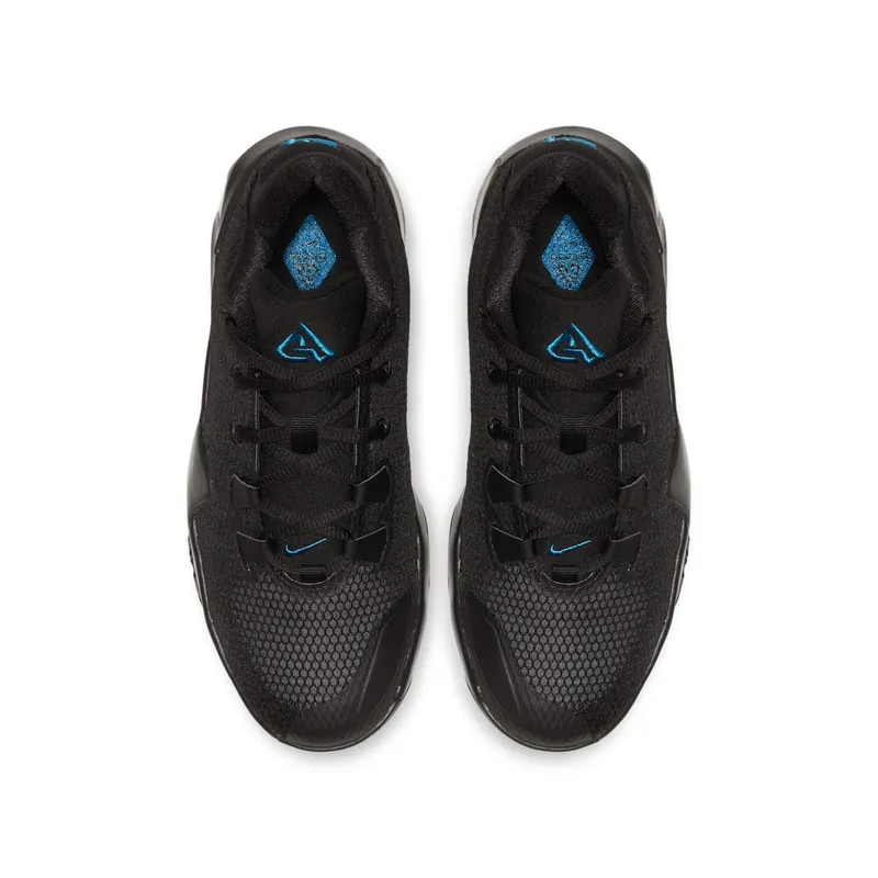 Nike Zoom Freak 1 Black Multi Photo Blue (BQ5633-004)