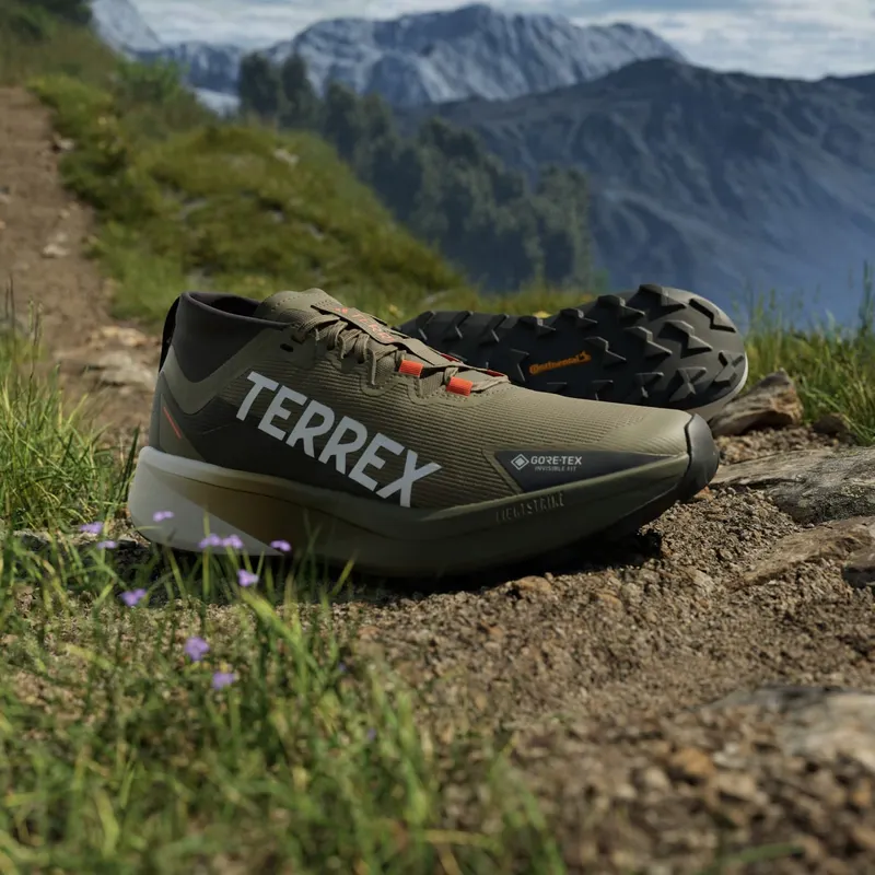 Adidas Terrex Agravic GTX Trail Running Olive Strata / Cloud White / Semi Impact Orange (JP7252)