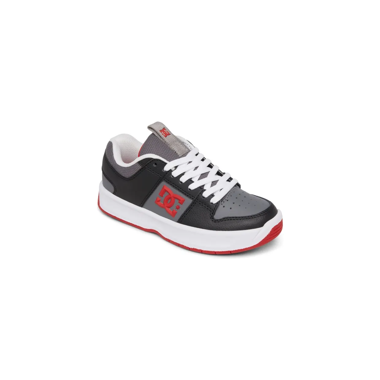 dc-lynx ADBS100269grf